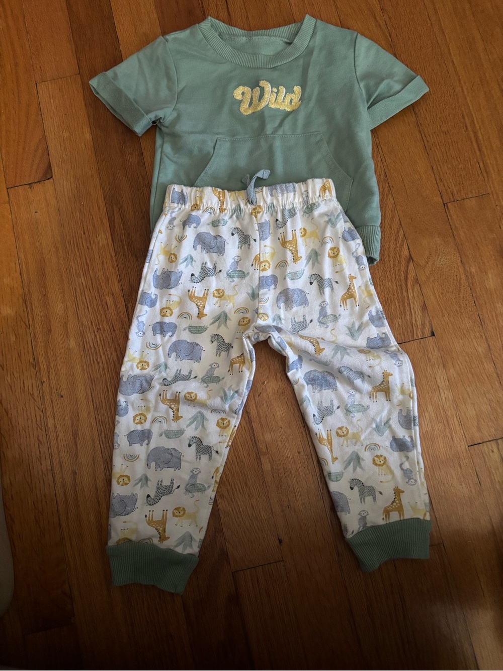 Chick pea Kids Two-Piece set Sage Green Top with Animal Print Pants